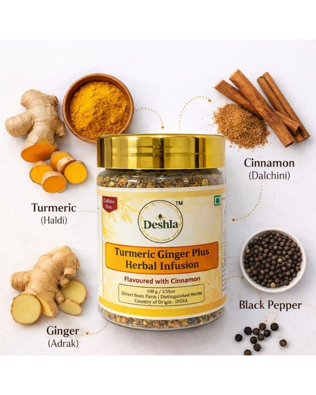 Deshla Turmeric Ginger Plus Herbal Infusion jar with turmeric, ginger, cinnamon, and black pepper on a white background